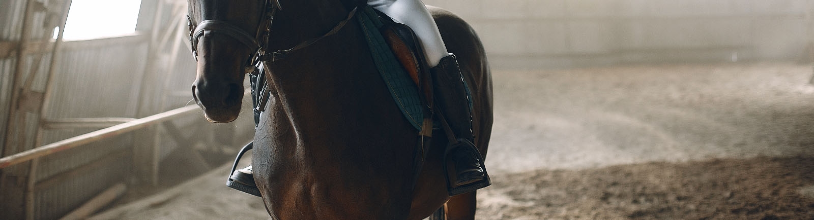 Welcome to Sound Equine Veterinary Hospital Welcome to Sound Equine Veterinary Hospital