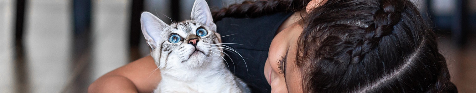 Clackamas Pet Clinic Clackamas Pet Clinic