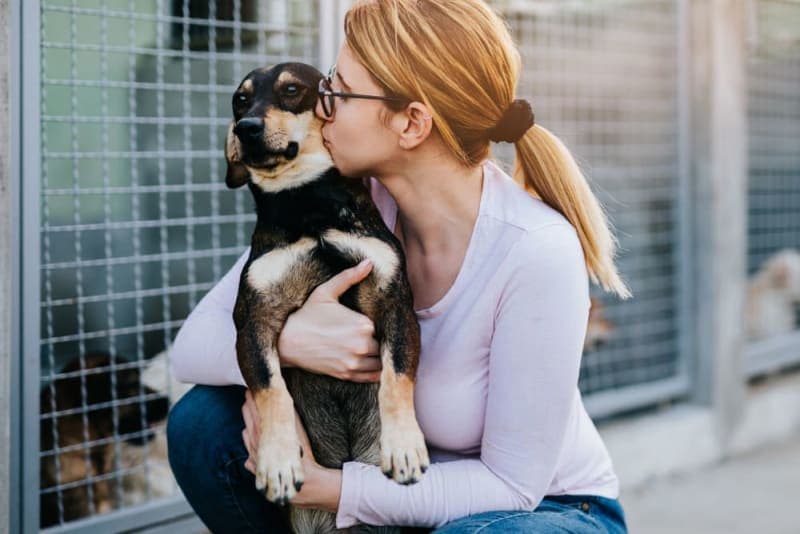 10 Reasons to Adopt a Shelter Dog 10 Reasons to Adopt a Shelter Dog