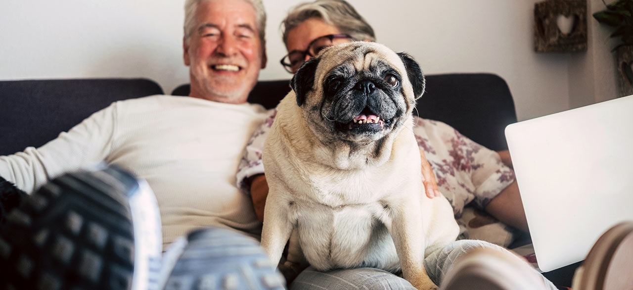 thomasville-veterinary-hospital-banner-3 thomasville-veterinary-hospital-banner-3