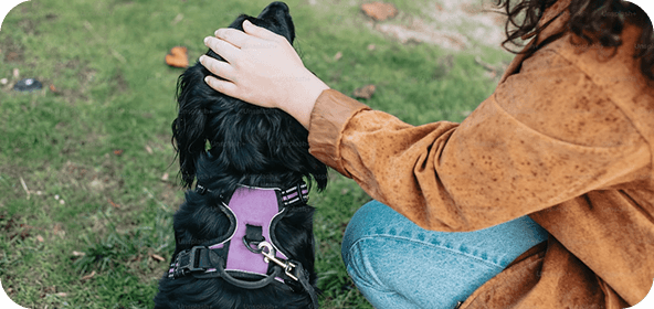 Safety is Our Top Priority Safety is Our Top Priority