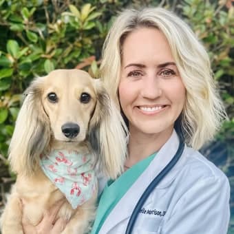 Dr. Michelle Morrison Dr. Michelle Morrison